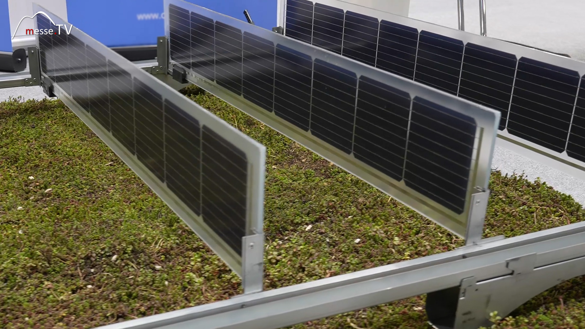 Green roof systems for sustainable green roofs