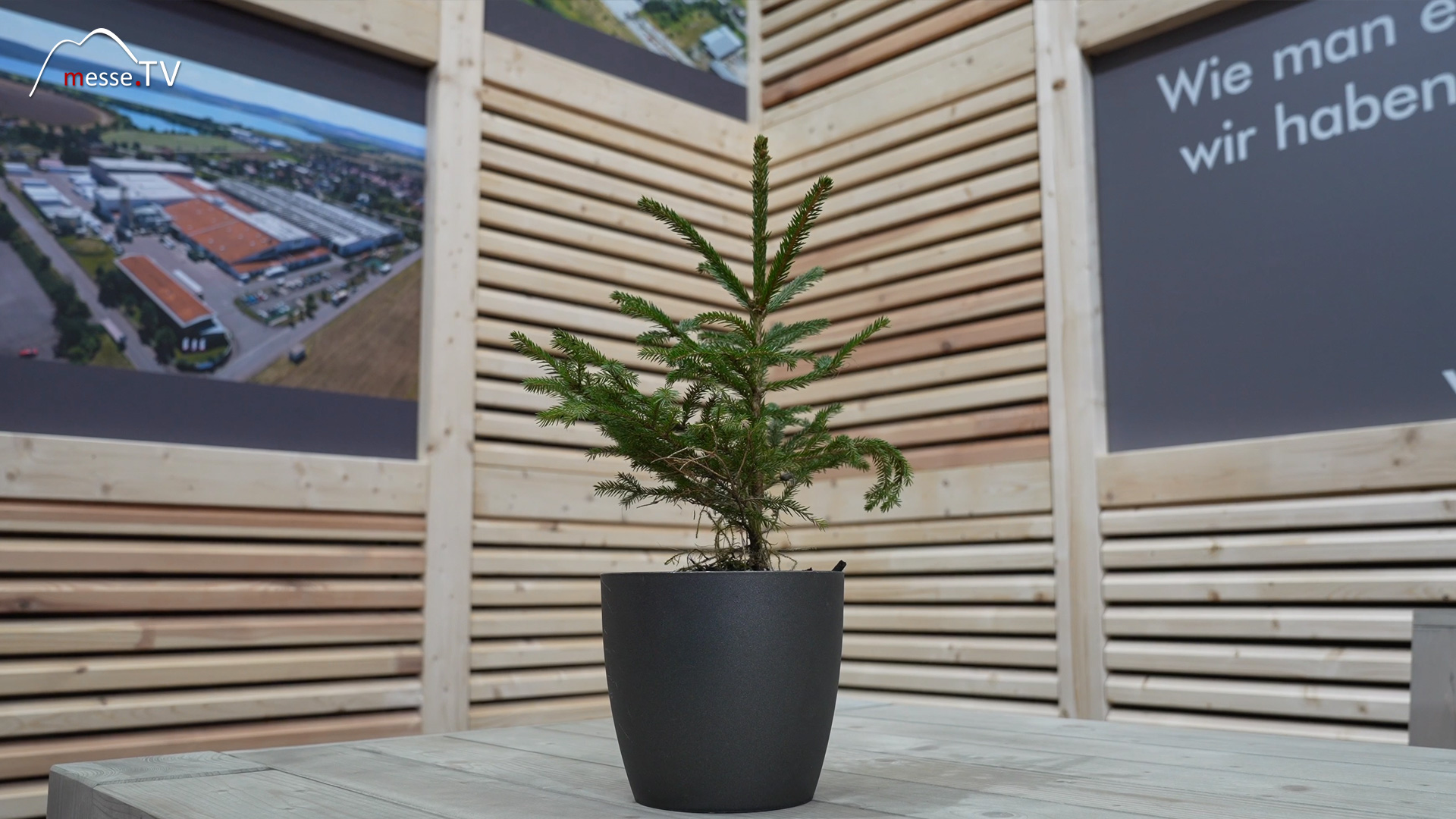 sustainable wood products ante holz