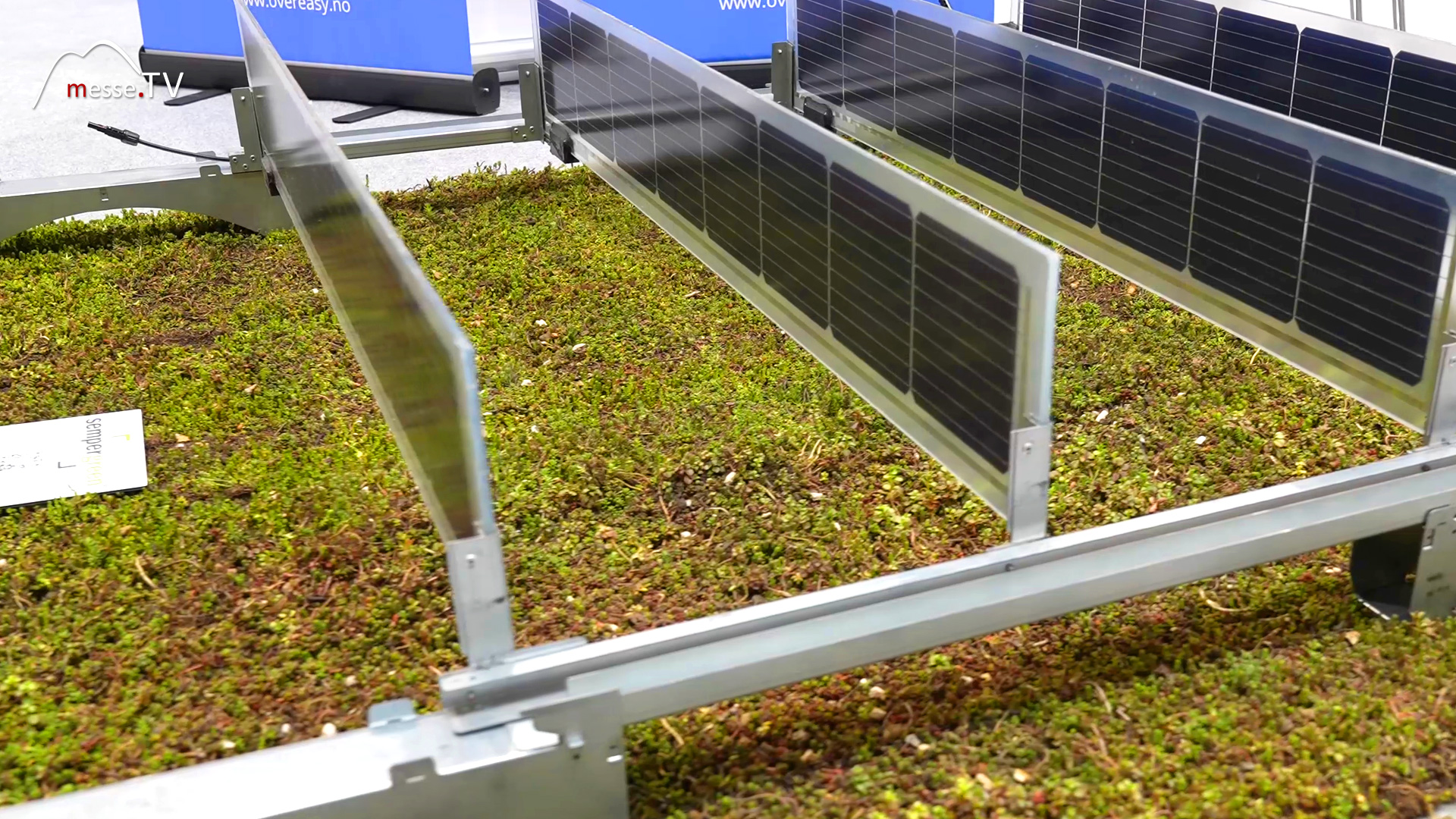 synergy effects pv green roof complete supplier