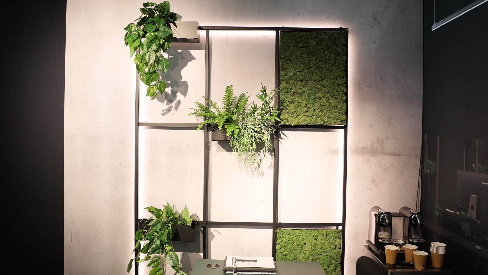 wall decoration with plant elements raw solution