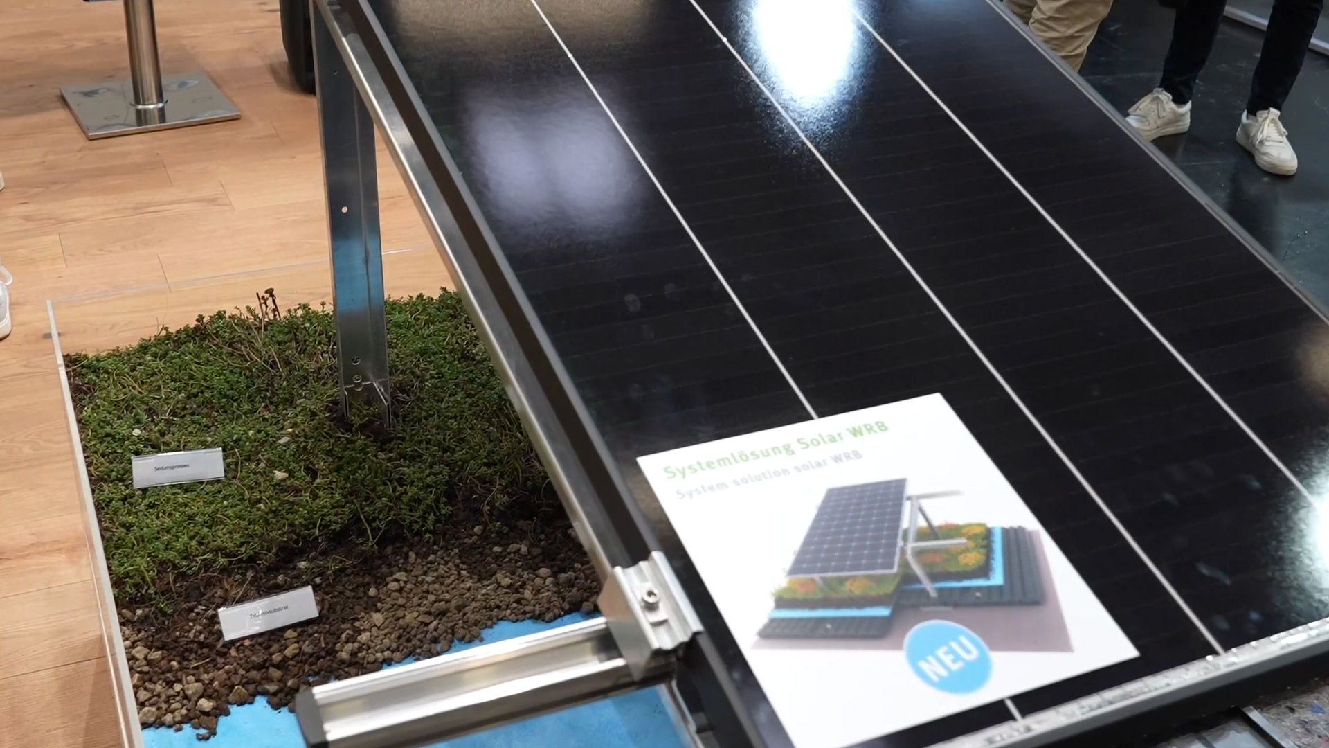 roof greening cools photovoltaic modules through evaporation