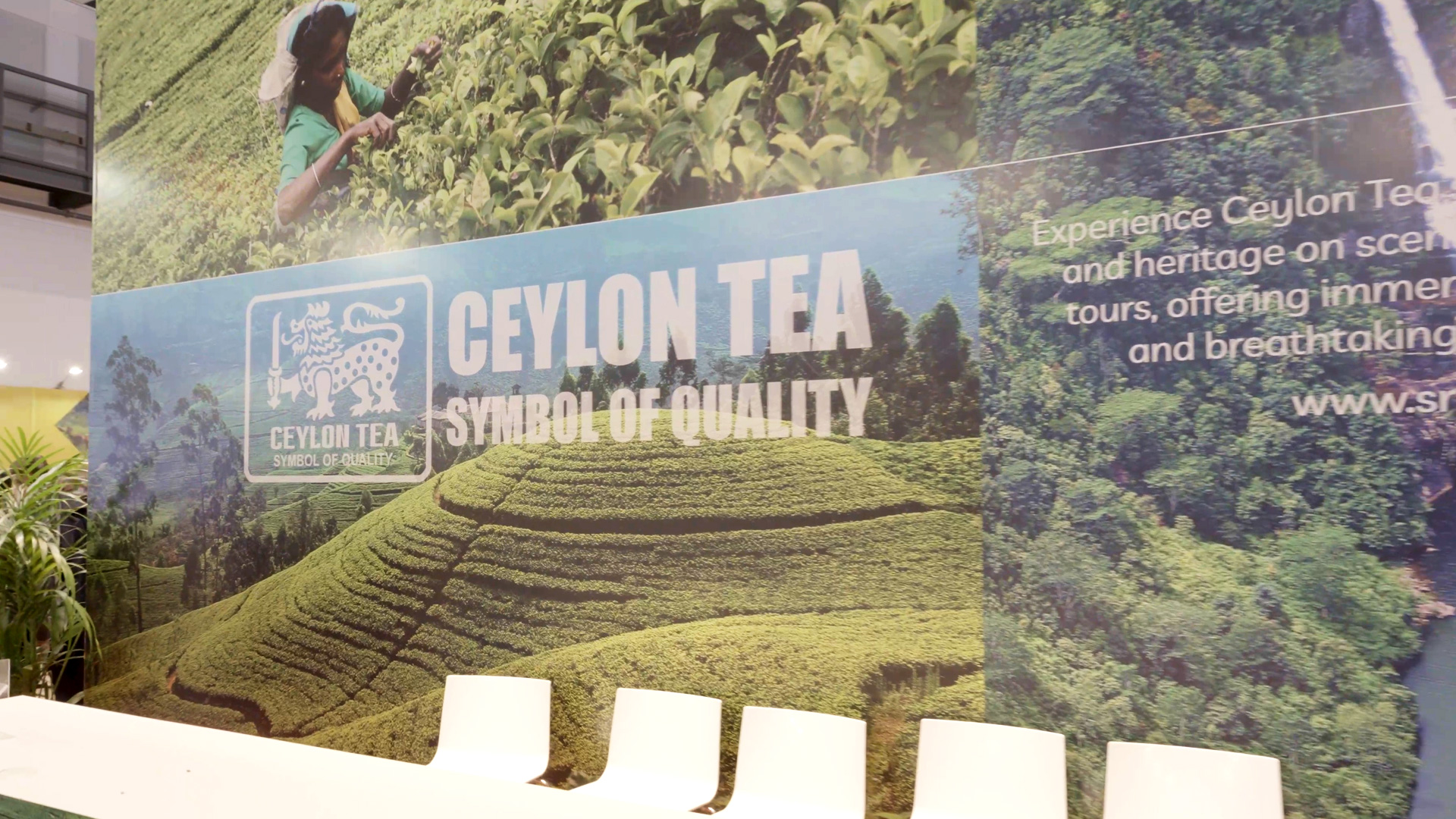 sri lanka ceylon tea