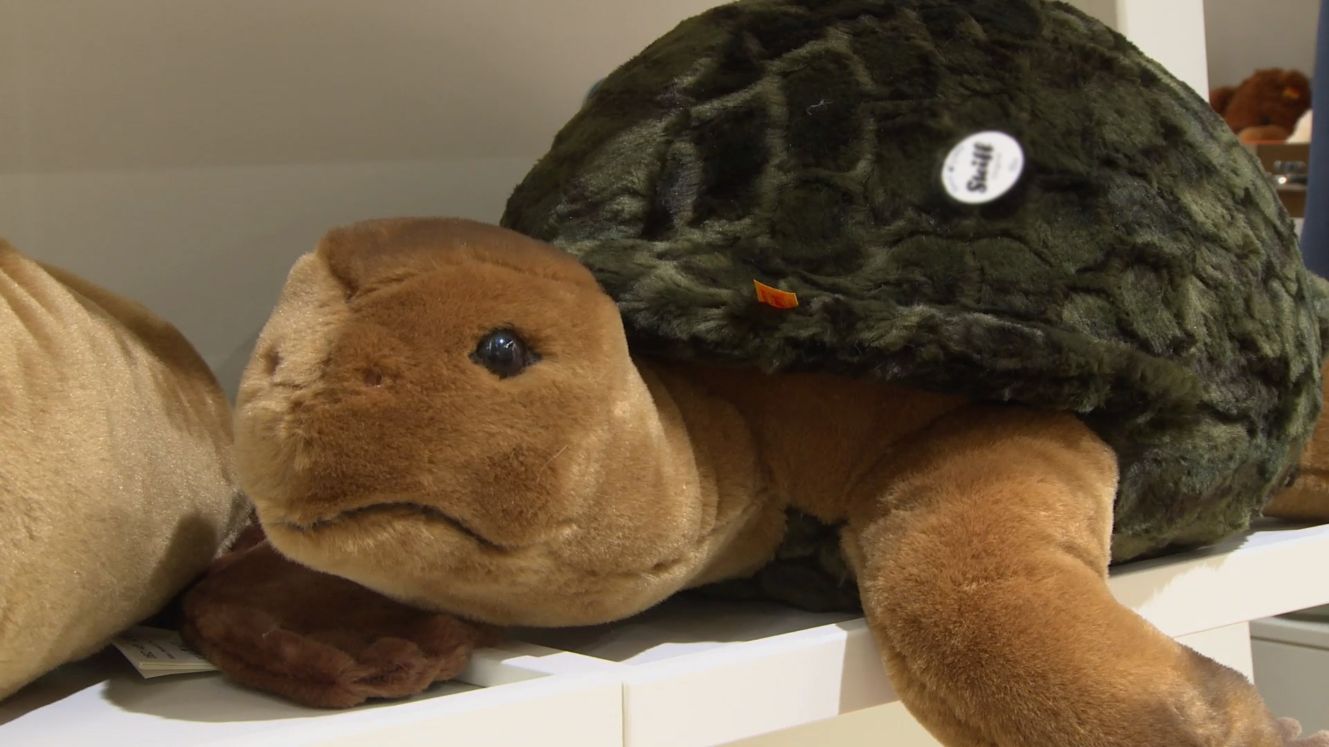 soft toy turtle