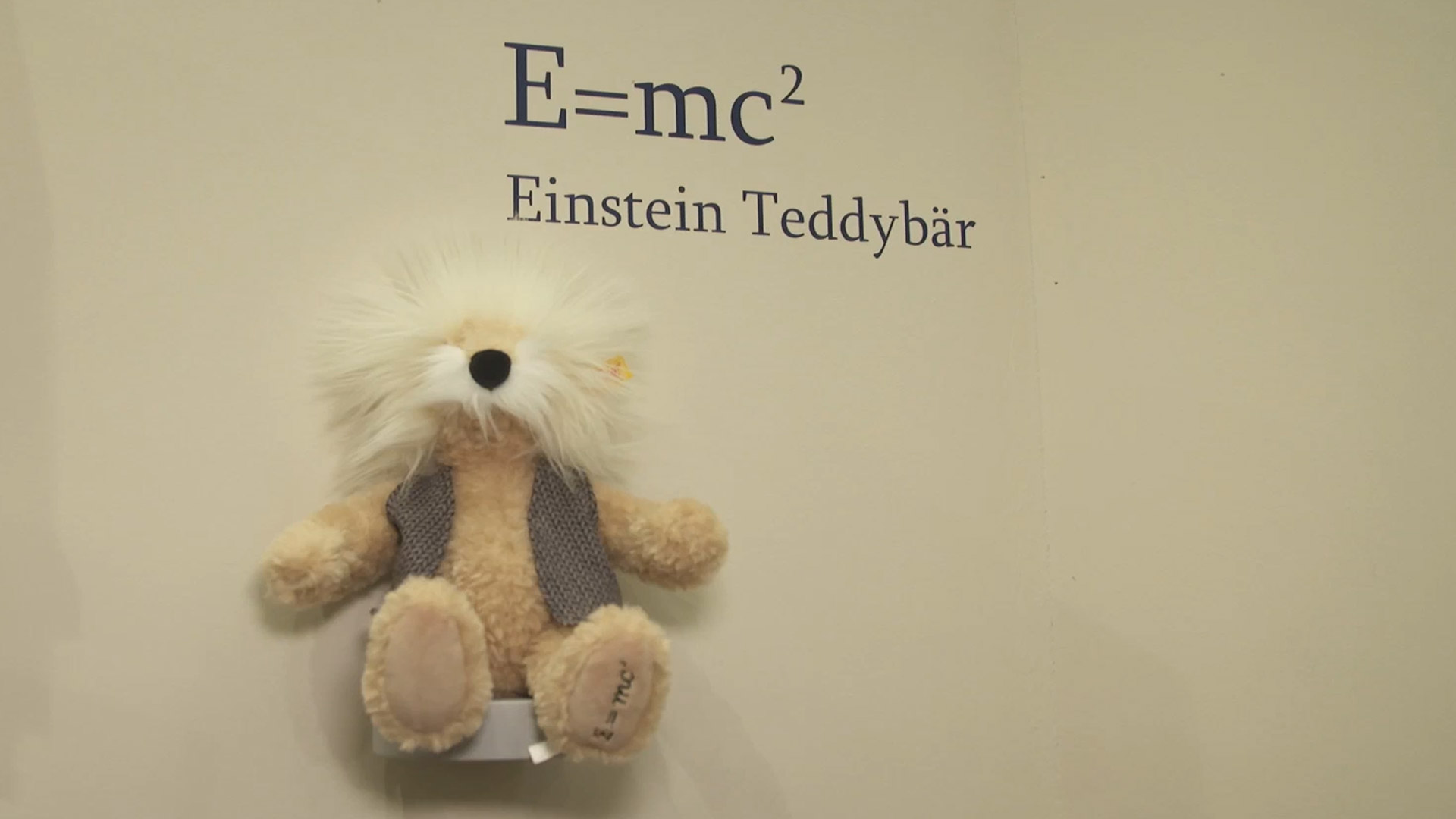 teddy bear albert einstein steiff