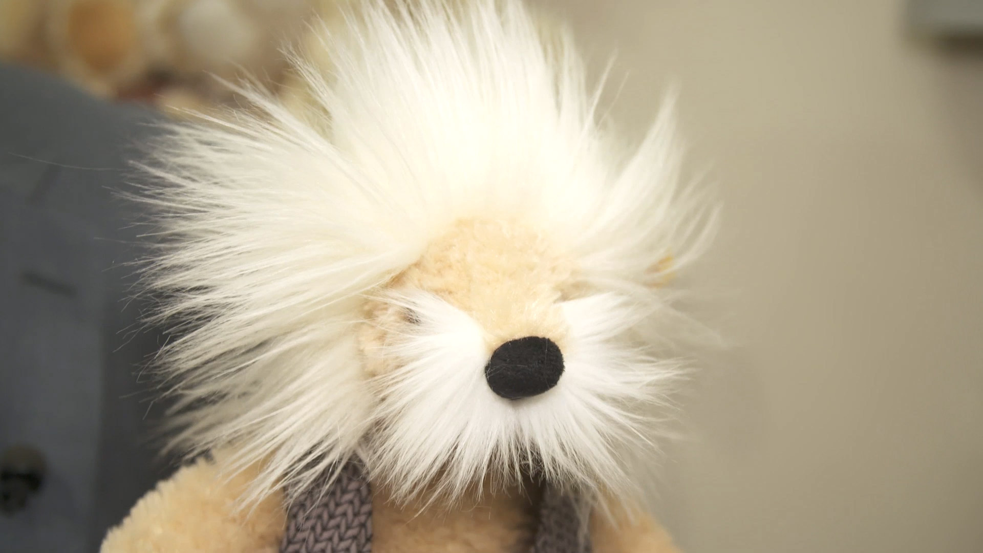 albert einstein teddy bear