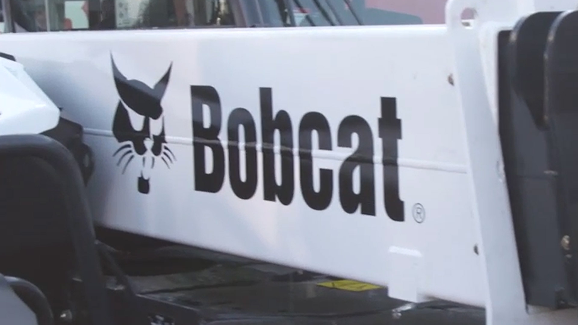 Bobcat